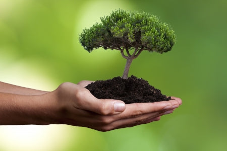 Pollution Protection. It's a Thing!