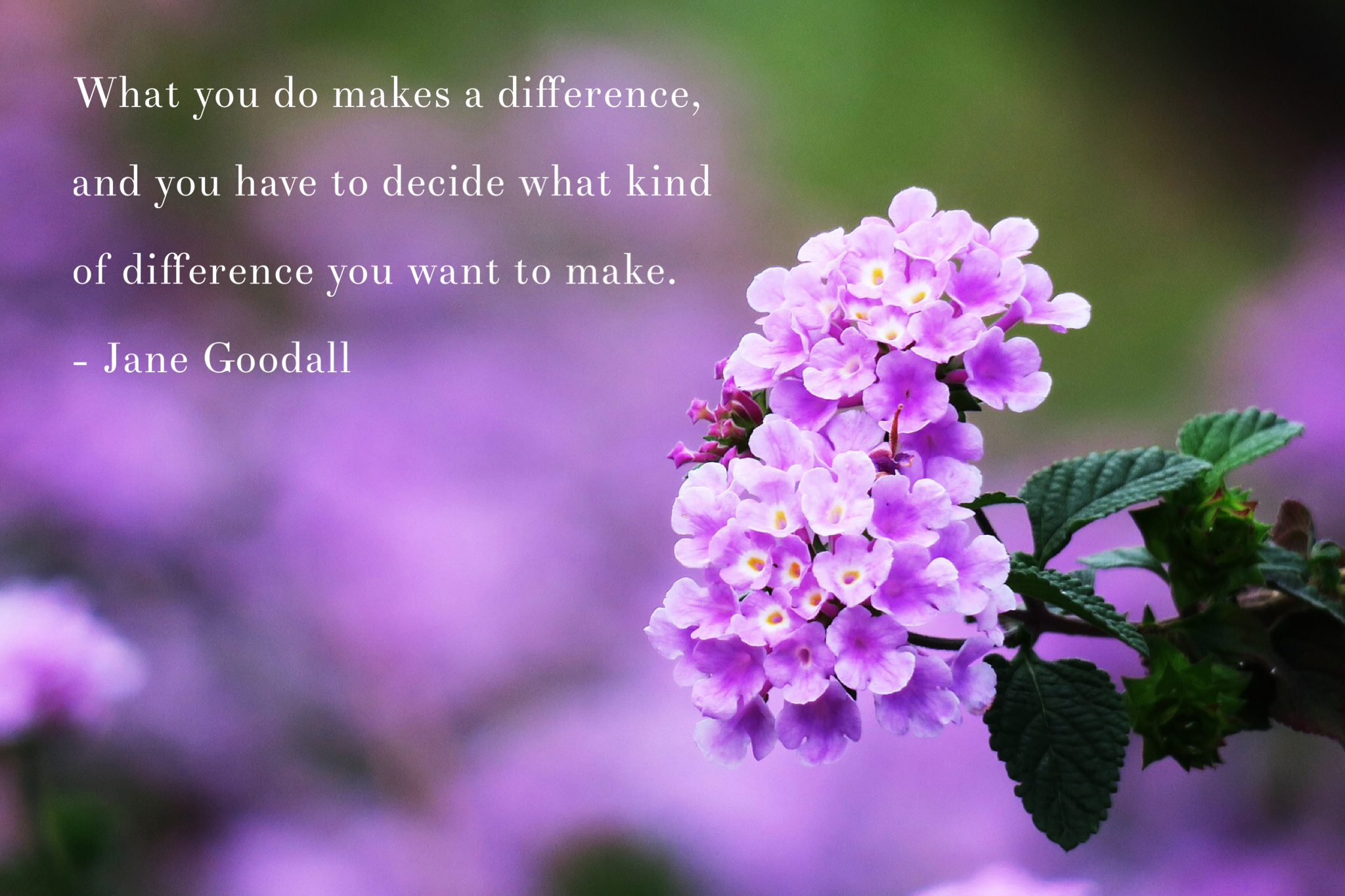 Happy International Women's Day!