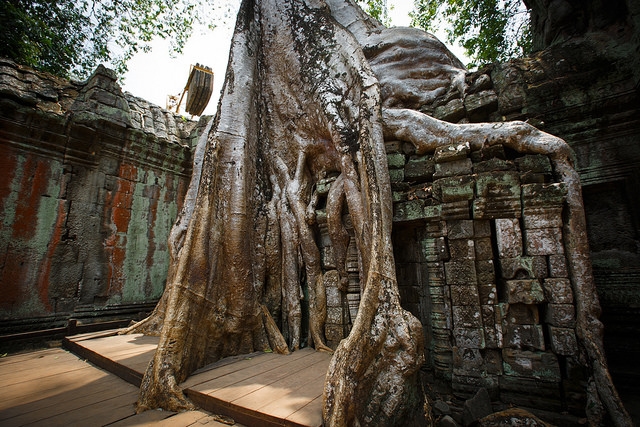 Ta Phrom - Angkor