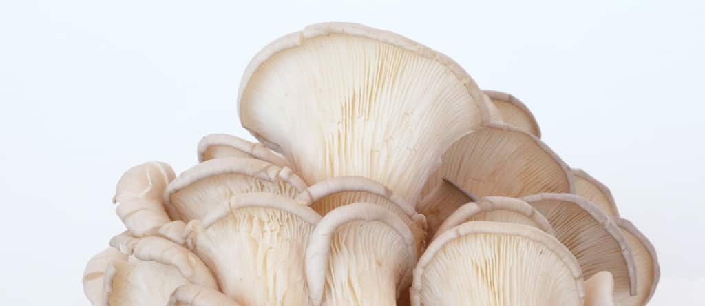What You'll Want to Know About Ergothioneine (Hint: It's an Antioxidant)