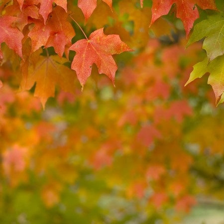4 Fall Skin Care Tips