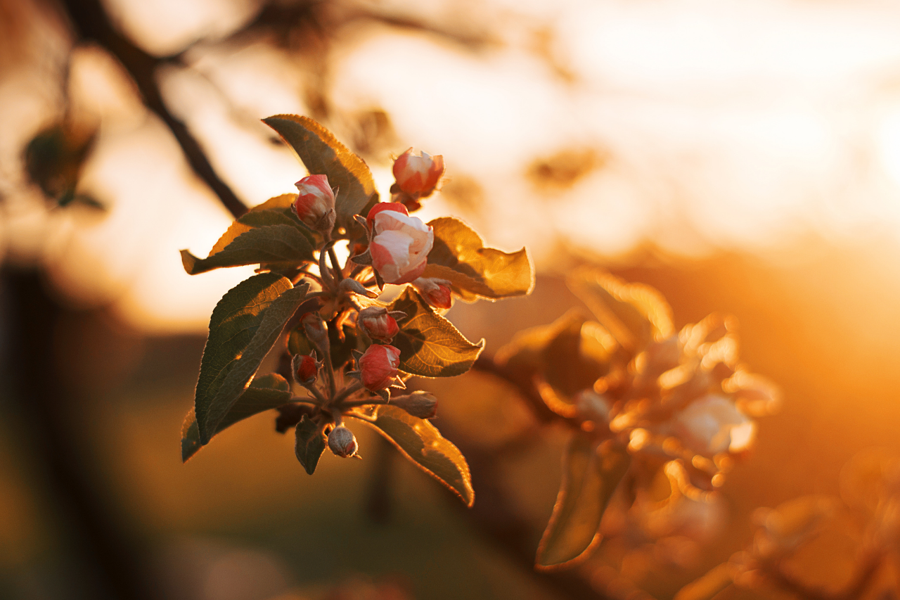 5 of the Most Surprising Ways to Stop Body Odor