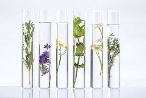 The Natural Skin Care Conundrum: Better for You?
