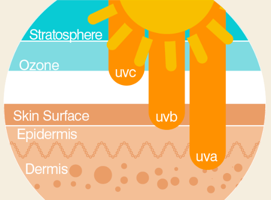 All About UV Rays