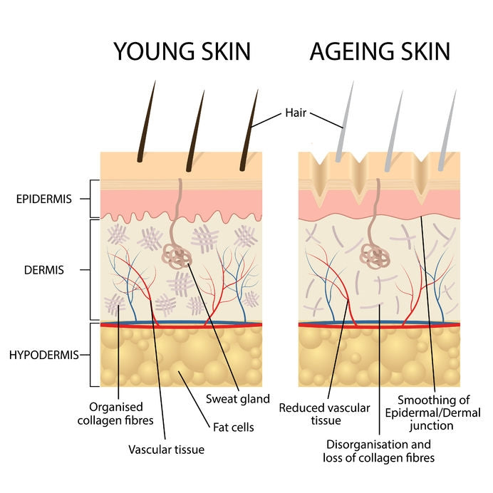 Aging Skin: 7 Things That Can Happen