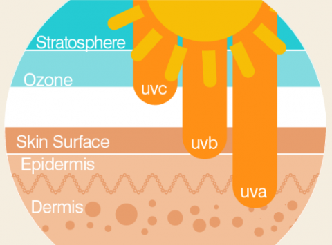 All About UV Rays | Apothekari Skincare