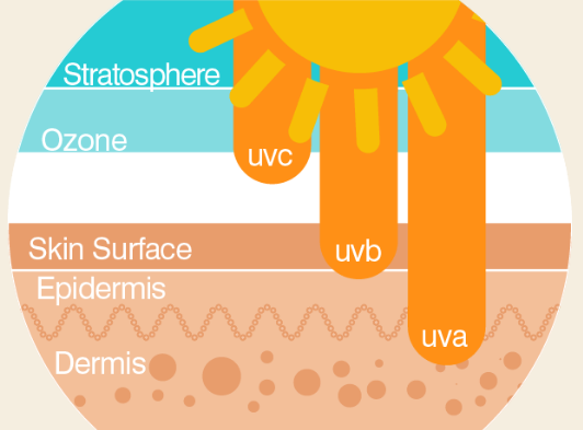 You are currently viewing All About UV Rays