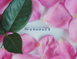 Menopause Odor Hormones