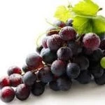 Resveratrol